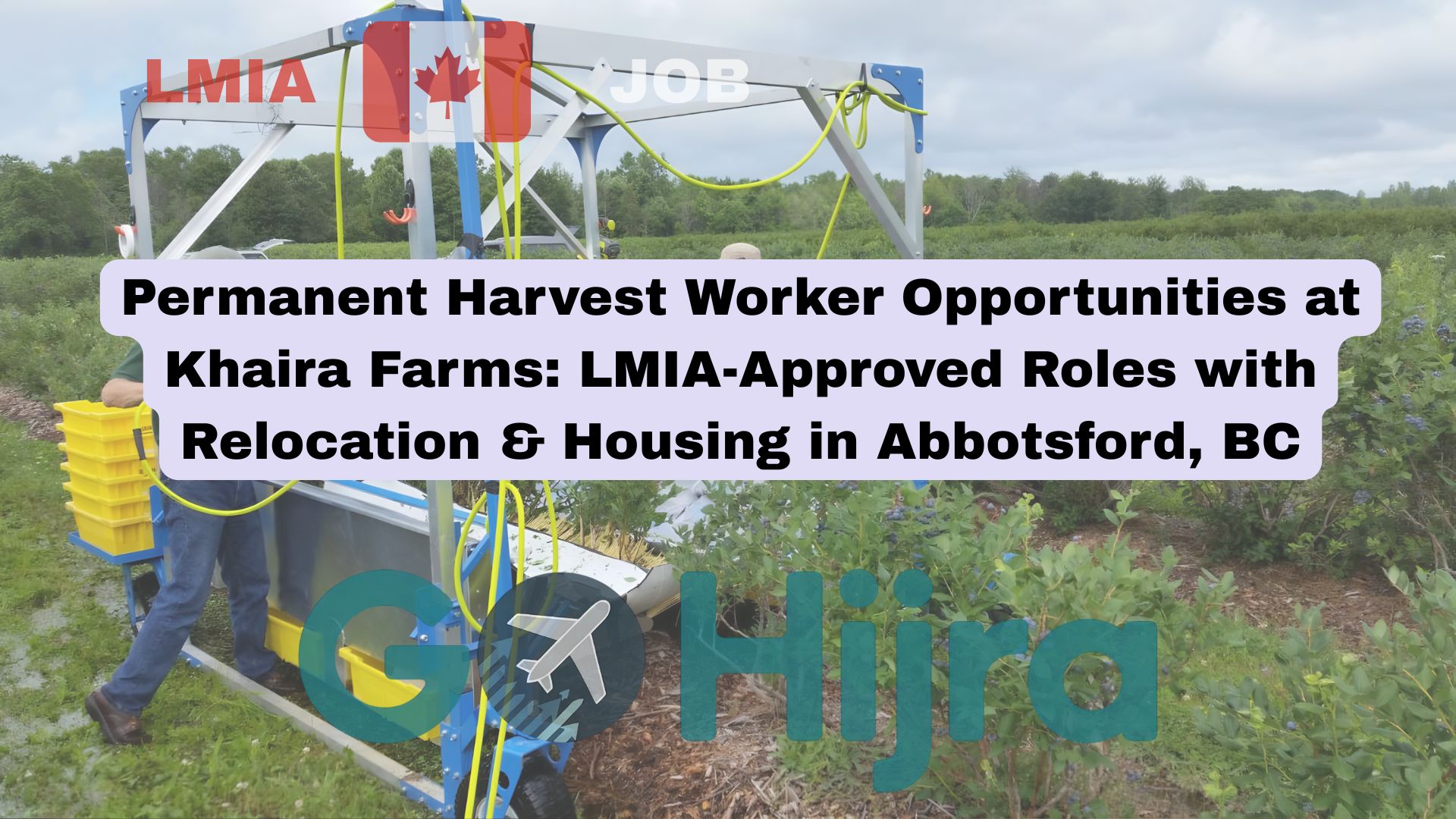 🌱 Golden Opportunity for Nature Lovers: Seasonal Harvest Jobs with Free Housing in Abbotsford’s Finest Farms!